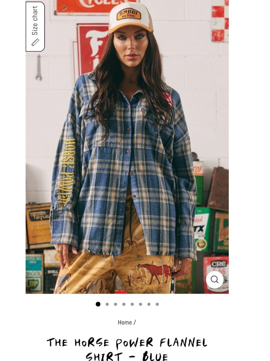 Sabbi Tops - NWT Sabbi THE HORSE POWER FLANNEL SHIRT - BLUE - L